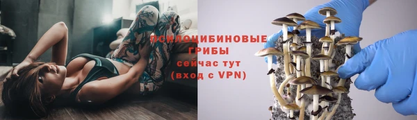 ALPHA PVP Белокуриха